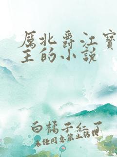 厉北爵江宝宝男主的小说