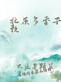 北原多香子 家教