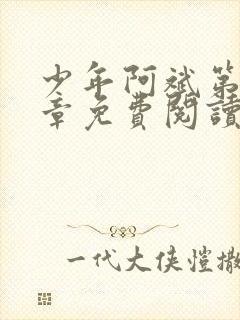 少年阿斌第13章免费阅读