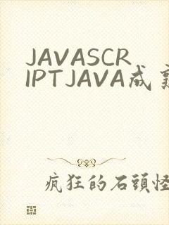 JAVASCRIPTJAVA成熟亲子