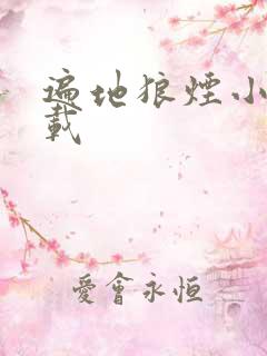 遍地狼烟小说下载