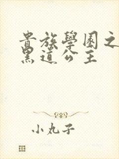 贵族学园之我的黑道公主