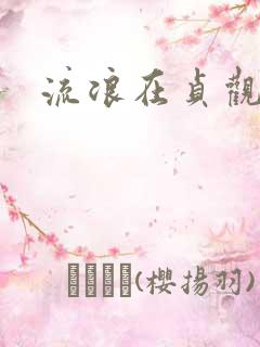 流浪在贞观年间