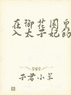 在御花园皇上进入太子妃的小说