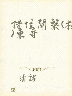 错位关系(校园)东哥