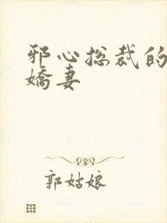邪心总裁的纯情娇妻