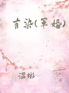 有染(军婚)