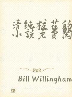 清纯校花的秘密小说免费阅读全文