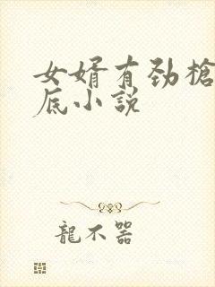 女婿有劲枪枪到底小说