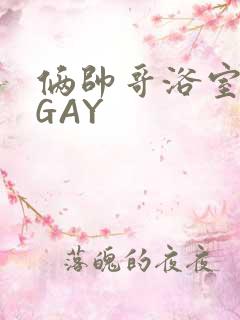 俩帅哥浴室互攻GAY