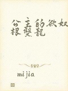 公主的欲奴h四根双龙