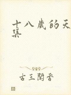 十八岁的天空续集