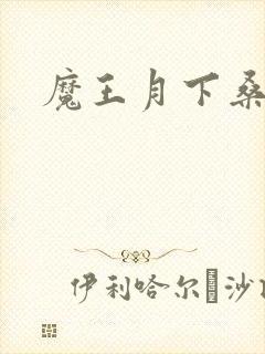 魔王月下桑