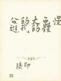 公的大龟慢慢挺进我的体