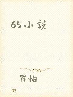 65小说