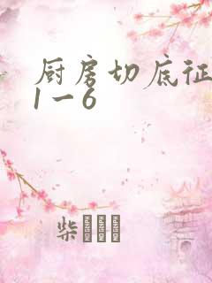 厨房切底征服岳1一6