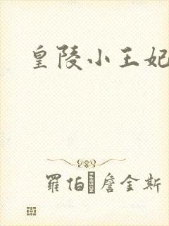 皇陵小王妃
