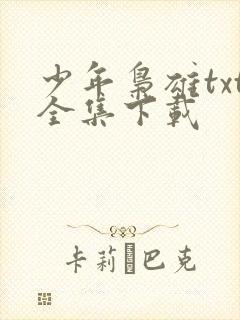 少年枭雄txt全集下载