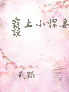 霸上小悍妻 小说