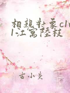 相亲对象c1v1江寓陆枝