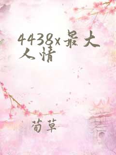 4438x最大人情