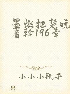 墨燃把楚晚宁按着干196章