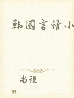 韩国言情小说