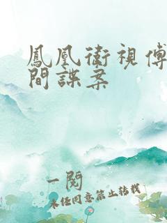 凤凰卫视傅晓田间谍案