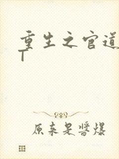 重生之官道TXT