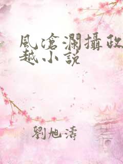 风沧澜摄政王穿越小说