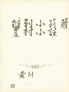 推到小莉萝稚嫩农村小说