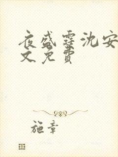 夜盛霆沈安然全文免费
