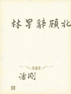 林星辞顾北彦