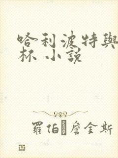 哈利波特与火焰杯 小说