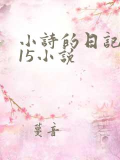小诗的日记1一15小说
