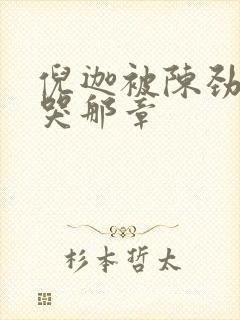 倪迦被陈劲生做哭那章