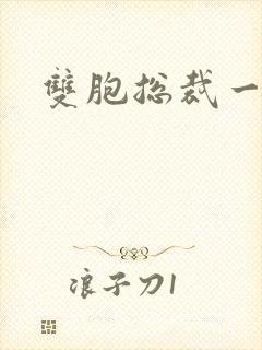 双胞总裁一个妻