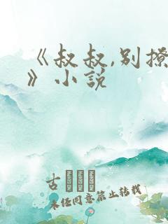 《叔叔,别撩我》小说