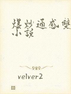 爆炒通感双胞胎小说