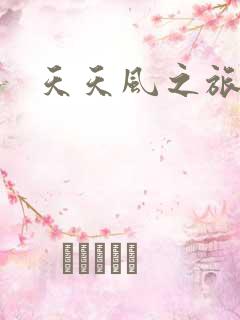 天天风之旅辅助