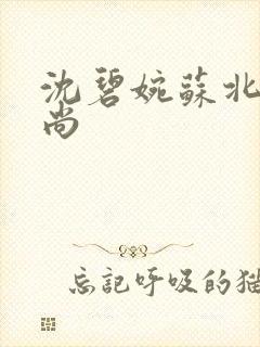 沈碧婉苏北宸和尚