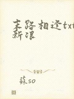 末路相逢txt新浪