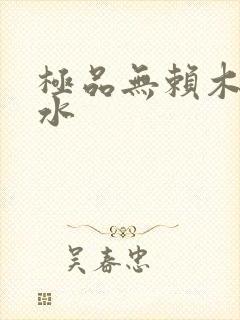 极品无赖木石山水