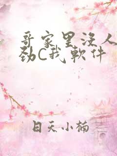 哥家里没人使点劲C我软件