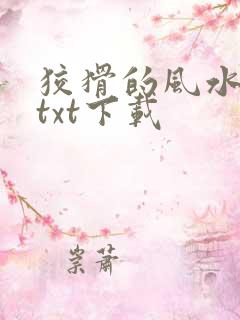 狡猾的风水相师txt下载