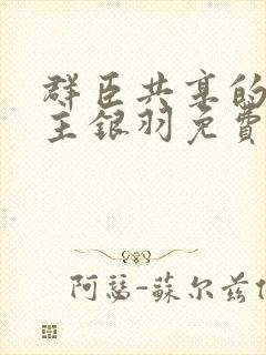 群臣共享的小公主银羽免费阅读