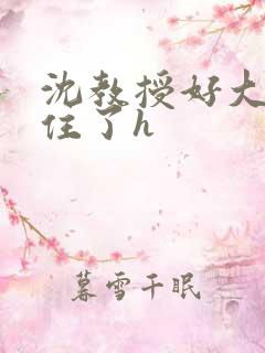 沈教授好大含不住了h