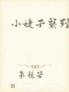 小婕子系列小说