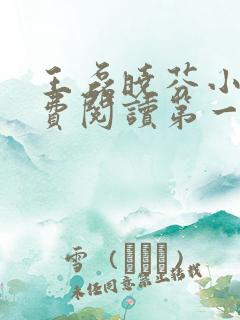 王磊晓芬小说免费阅读第一章