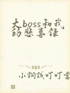 大boss和我的悲喜录